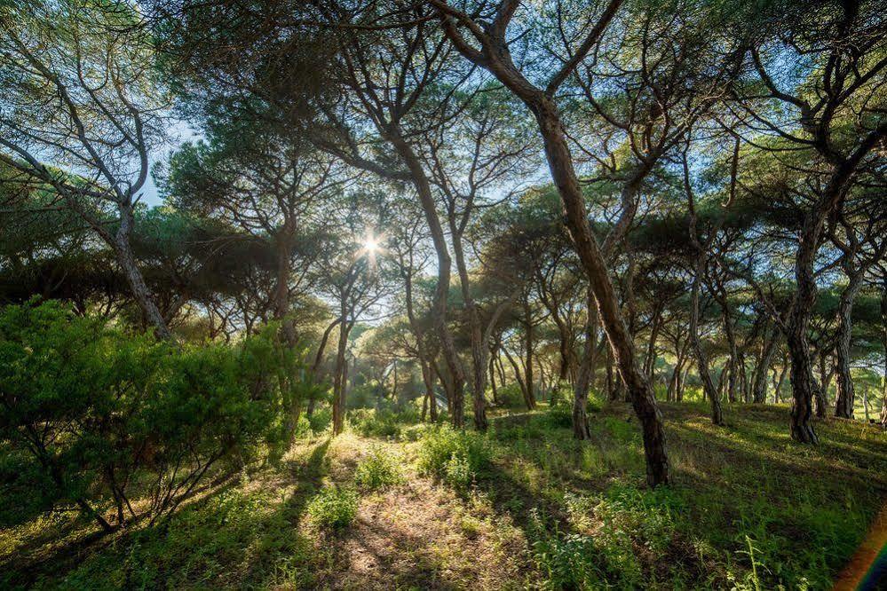 Apartamentos Costa Luz Punta Umbria Bagian luar foto